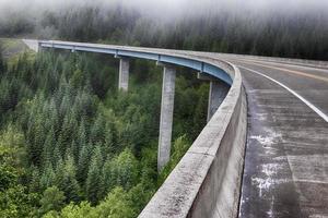 betong skog bro motorväg väg foto
