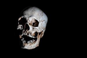 mänsklig skelett skalle huvud isolerat på svart foto