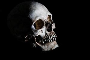 mänsklig skelett skalle huvud isolerat på svart foto