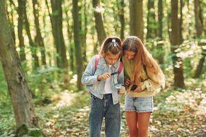 två flickor i grön skog på sommar dagtid tillsammans foto