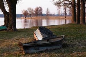 tidigt vår landskap foto