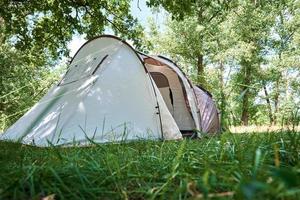 campimg tält i tall skog i en sommar dag. turist läger foto