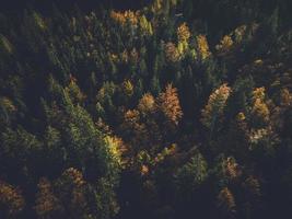 visningar från runt om triglav nationell parkera i slovenien foto