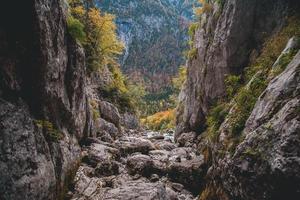 källa av de soca flod i triglav nationell parkera i slovenien foto