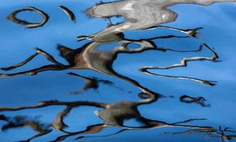 reflexion i vatten på en blå bakgrund foto