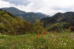 vår landskap från de bergen av grekland foto