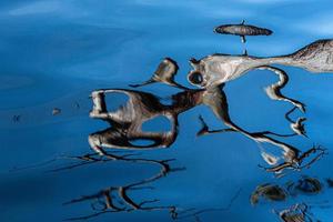 reflexion i vatten på en blå bakgrund foto