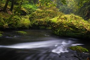 höst landskap i hrensko, flod kamenice foto