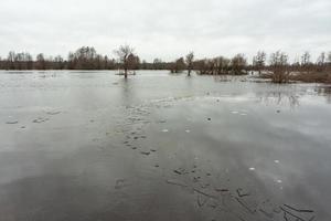 soomaa nationell parkera i översvämning foto