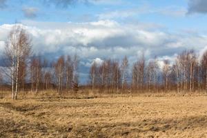 tidigt vår landskap foto