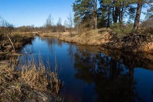 tidigt vår landskap foto