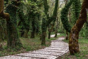 vår landskap från de bergen av grekland foto