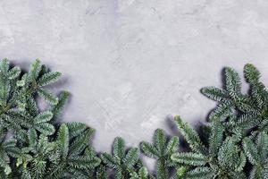 jul betong bakgrund med gran träd. foto