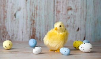påsk hälsning kort med csmall kyckling omgiven med färgrik ägg mot blå bakgrund foto