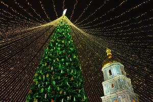 jul träd glöder på de fyrkant i de stad. kväll, natt belysning foto