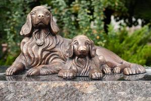 hundar närbild, brons monument tillägnad till hund lojalitet foto