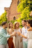 grupp av Lycklig ung människor glädjande med färsk citronsaft i de trädgård foto