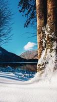 berg sjö se på solig vinter- dag, vertikal ram foto
