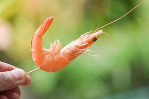 räka grillspett i hand och natur bakgrund skaldjur skaldjur räkor räkor foto