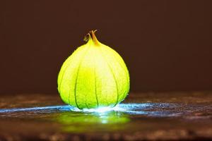 physalis på svart våt jord. upplyst frukt. vitamin c rik frukt. strukturer foto