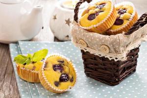 gluten fri muffins med vindruvor foto