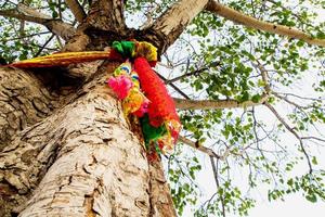 de färgad band på de helig bodhi träd foto