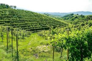 landskap på rom i Italien foto