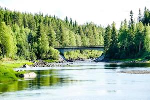 landskap på sommaren foto