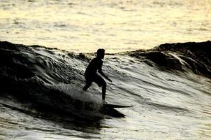 siluett surfare vid solnedgången foto