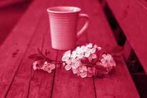 en kopp av kaffe på en mörk, bärs rustik trä- tabell. de sammansättning är dekorerad med en kvist med vit blommor. körsbär träd blommor. selektiv fokus. foto