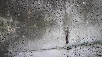 aska betong textur som bakgrund foto