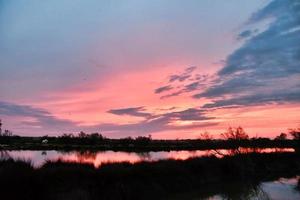 färgrik himmel på solnedgång foto