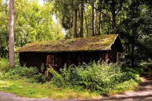 avlägsen hus i de skog foto