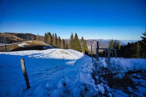 snöig vinterlandskap foto