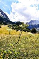 bergslandskap på sommaren foto