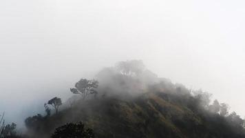 dimmig landskap med gran skog bergen i dimma foto