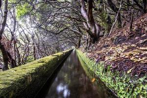 2022 08 17 madeira levada 7 foto