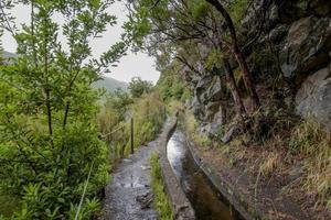 2022 08 17 madeira levada 2 foto