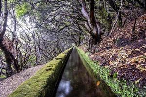 2022 08 17 madeira levada 5 foto