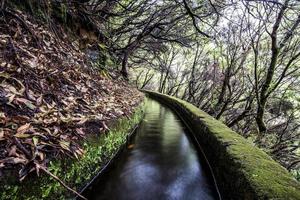 2022 08 17 madeira levada 6 foto