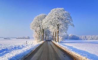 se av en snötäckt Land väg i vinter- med solsken och blå himmel. foto