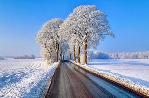se av en snötäckt Land väg i vinter- med solsken och blå himmel. foto
