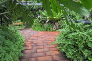 en gångväg i de trädgård med röd tegel golv. längs de sätt planterade en små träd. foto