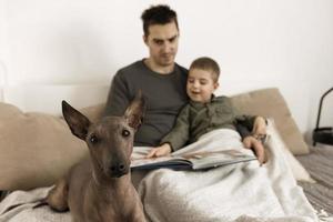 hund som familj medlem. mexikansk hårlös, xoloitzquintle. vuxen hund på de säng på Hem, med man och liten pojke. naturlig jord färger. mysigt miljö. far läser bok, fe- berättelse för hans barn. foto