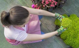 ung kvinna på en barnkammare innehav blomma växt i henne händer som hon knäböjer i de gångväg mellan växter. foto