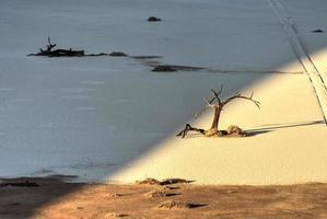 dold vlei, namibia foto