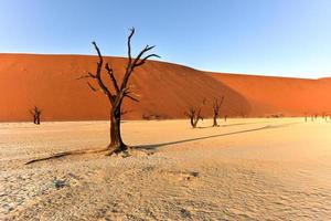 död- vlei, namibia foto