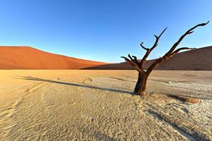 död- vlei, namibia foto