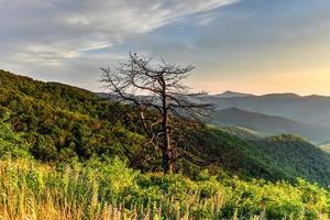 se av de shenandoah dal och blå bergsrygg bergen från shenandoah nationell parkera, virginia foto