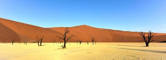 död- vlei, namibia foto